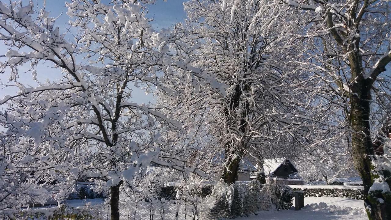 House Nenad Otel Plitvička Jezera Dış mekan fotoğraf